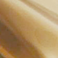 Gun
